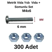 TUĞRA HIRDAVAT M4x6mm Metrik Vida Ysb - Somunlu 300'lü Takım thumbnail 3