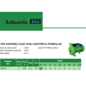 Atlantis CM20 1 HP Tek Kademeli Santrifuj Pompa thumbnail 6