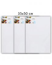 Temel 35x50 cm 3’lü Tuval - 2