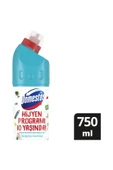 Domestos Çamaşır Suyu 750 ml Okalıptus thumbnail 2