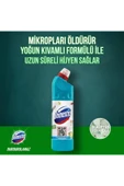 Domestos Çamaşır Suyu 750 ml Okalıptus thumbnail 5