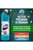 Domestos Çamaşır Suyu 750 ml Okalıptus thumbnail 3
