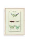 Kelebek Ahşap Çerçeveli Tablo 23 x 30 thumbnail 1