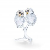 5493722 Swarovski Crystal Nature Owl Couple - 1