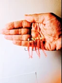 Eagenset Silikon Balıklı Çapari 5 Cm (2 Adet) Silikon At Çek Takımı Ultraviyole UV Neon Simli Pembe ve Fosforlu Glow Boncuklu thumbnail 3