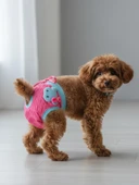 Teddie Dişi Köpek Regl Külotu | Köpek Donu | Köpek İç Çamaşırı | Ayarlanabilir Bağcıklı | Küçük Irklar İçin thumbnail 5