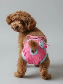 Teddie Dişi Köpek Regl Külotu | Köpek Donu | Köpek İç Çamaşırı | Ayarlanabilir Bağcıklı | Küçük Irklar İçin thumbnail 1