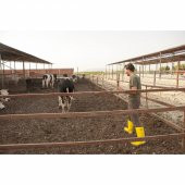 POLLY BOOT ÇİFTLİK AVCILIK iNŞAAT ÇİZME 41 - 4
