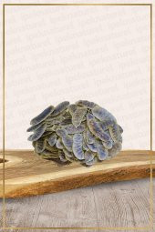 Açlık Otu - Erkek Sinameki 100 Gr Pkt - 1