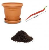 Uzun Kırmızı Acı Biber Tohumu Ekim Seti thumbnail 1