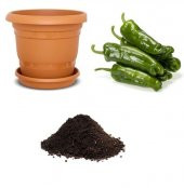 Meşhur Mazamort Biber Tohumu Ekimi Seti thumbnail 1