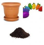 9 Farklı Renk Çilek Tohumu Ekim Seti - 1