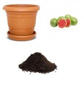 Baby Karpuz Tohumu Ekim Seti thumbnail 1