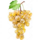 Sarı Golden Üzüm Tohumu Ekim Seti thumbnail 2