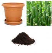 Sırık Salatalık Tohumu Ekim Seti - 1