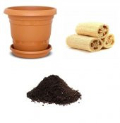 Lif Kabağı Tohumu Ekim Seti - 1