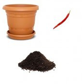 Uzun Kırmızı Tatlı Sivri Biber Tohumu Ekim Seti thumbnail 1