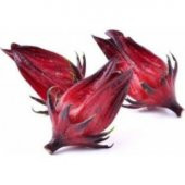İthal Hibiscus Tohumu Ekim Seti - 2