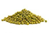 İthal Mung Bean Fasulye Tohumu Ekim Seti - 2