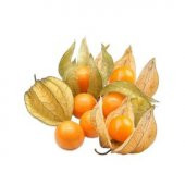 Kaz Üzümü Tohumu Ekim Seti thumbnail 2