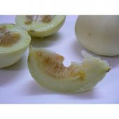 İthal Apple Melon Tohumu Ekim Seti thumbnail 4