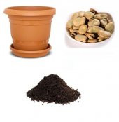 Bakla Tohumu Ekim Seti thumbnail 1