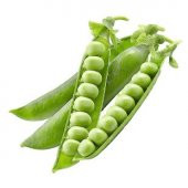 Bezelye Tohumu Ekim Seti - 2