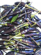 İthal Çok Acı Siyah Süs Biberi Tohumu Ekim Seti - 3