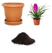 İthal Hava Çiçeği Tohumu Ekim Seti thumbnail 1