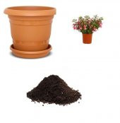 Pembe Küpeli Çiçeği Tohumu Ekim Seti - 1