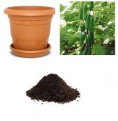 Erkenci Badem Salatalık Tohumu Ekim Seti - 1