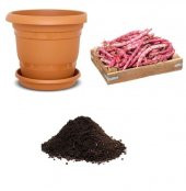 Sırık Barbunya Fasulye Tohumu Ekim Seti thumbnail 1