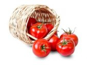 Meşhur Falkon Domates Tohumu Ekim Seti thumbnail 2