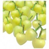 Acı Fındık Biberi Tohumu Ekim Seti - 2