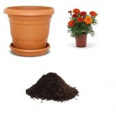 Karagöz Çiçeği Tohumu Ekim Seti thumbnail 1