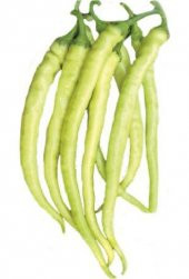 Nadir Acı Sarı Golden Biber Tohumu Ekim Seti - 2