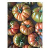 Yayla Domatesi Tohumu Ekim Seti - 3