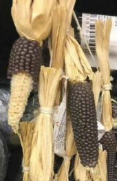 İthal Mor Bolivya Mısırı Tohumu Ekim Seti thumbnail 2