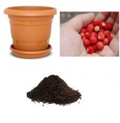 Yayılıcı Dağ Çileği Tohumu Ekim Seti - 1