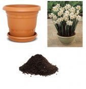 Nergiz Tohumu Ekim Seti - 1