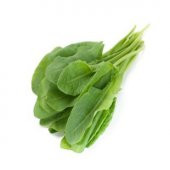 Ekşi Otu Tohumu Ekim Seti thumbnail 2