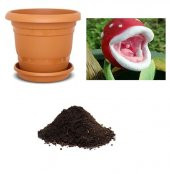 İthal Sinek Kapan Bitki Çiçeği Tohumu Ekim Seti - 1