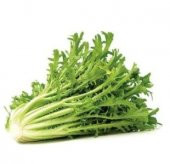 Meşhur Hindi bağ Tohumu Ekim Seti thumbnail 2