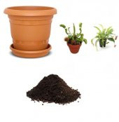 Venüs Fly Trap ve Nepentes Tohumu Ekim Seti thumbnail 1