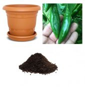 Acı Balık Biberi Tohumu Ekim Seti thumbnail 1