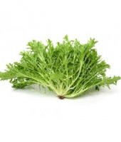 Meşhur Hindiba Tohumu Ekim Seti thumbnail 5