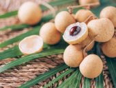 İthal Nadir Tropikal Ejderha Gözü Meyvesi Tohumu Ekim Seti - 5