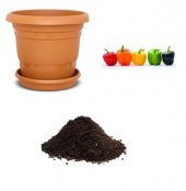 Rengarenk Dolmalık Biber Tohumu Ekim Seti thumbnail 1