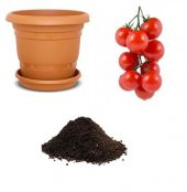 Nadir Erkenci Salkım Domates Tohumu Ekim Seti thumbnail 1