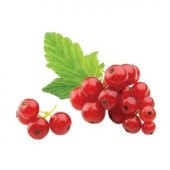 Tropikal Bektaş Üzümü Tohumu Ekim Seti thumbnail 2